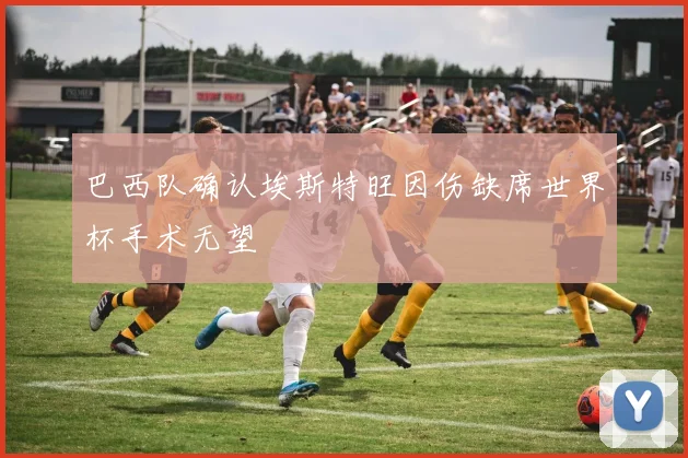 巴西队确认埃斯特旺因伤缺席世界杯手术无望