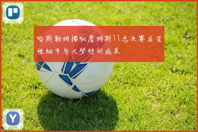 哈斯勒姆揭秘詹姆斯11总决赛后苦练细节与大梦特训成果