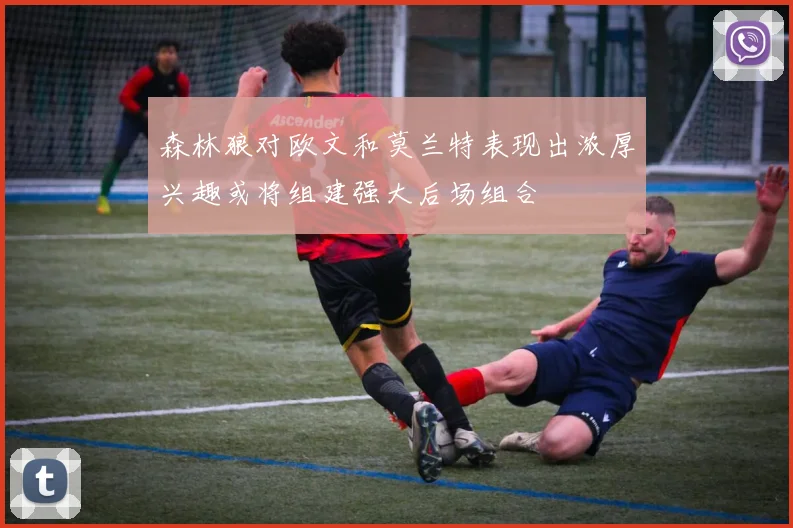 森林狼对欧文和莫兰特表现出浓厚兴趣或将组建强大后场组合