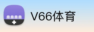 V66体育 logo