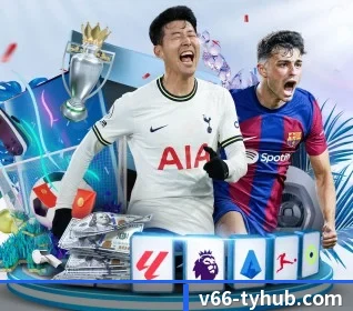 V66体育 APP